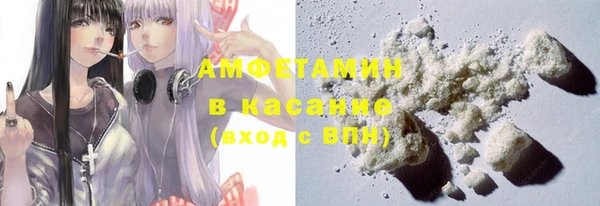 прущие грибы Вяземский
