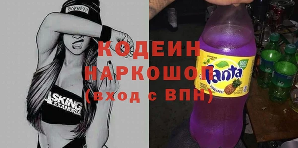 прущие грибы Вяземский