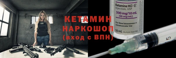 прущие грибы Вяземский
