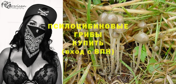 крисы Горнозаводск