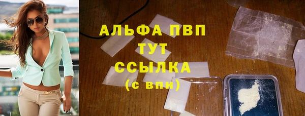 прущие грибы Вяземский