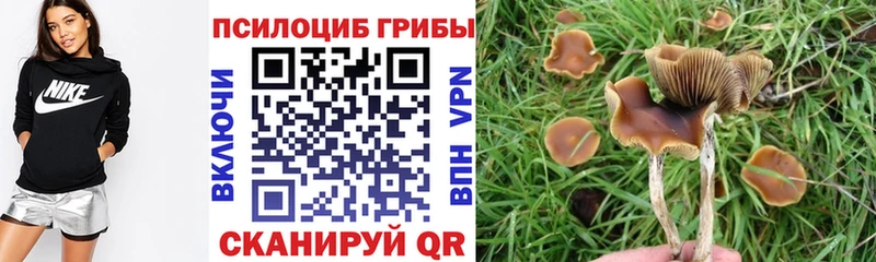 Купить закладки  Сарапул  Псилоцибиновые грибы Psilocybine cubensis 